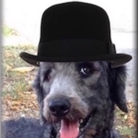 doodledansdeals